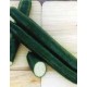 Long Pepinex Cucumber Seeds