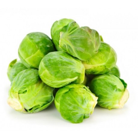 Brussels sprout seeds