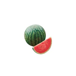 Sugar Baby Watermelon seeds