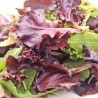 Cut-and-Come-Again Lettuce Mix Seeds