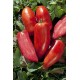 "San Marzano" horn tomato seeds