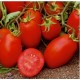 Roma elongated tomato seeds