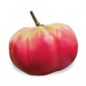 Semi di pomodoro Belmonte