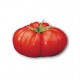 Big Beef tomato seeds