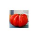 Super Stick Big Beef tomato seeds