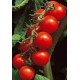 Paki cherry tomato seeds