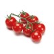 "Coriandolo" dwarf cherry tomato seeds