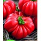 Corleone tomato seeds