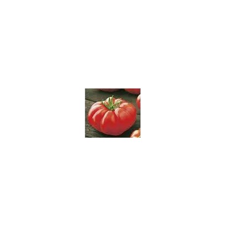 Marmandino ribbed tomato seeds