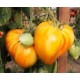 Yellow Beefsteak tomato seeds