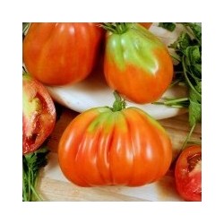 Riviera Cuorbenga beef tomato seeds