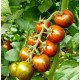 Zebra cherry tomato seeds