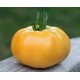 "Gazzi Ribbed” yellow tomato seeds