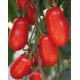 Small Trilly San Marzano tomato seeds