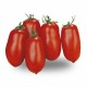 Cirano San Marzano tomato seeds