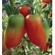 San Marzano Corno Gagliardo tomato seeds