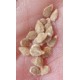 San Marzano Corno Gagliardo tomato seeds