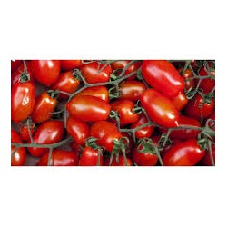 San Marzano Clanio tomato seeds