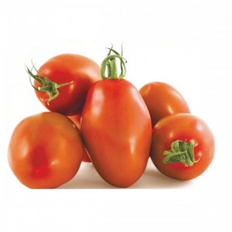 Giano San Marzano tomato seeds