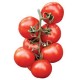 Elisir pachino cherry tomato seeds