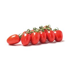 Pixel piccadilly cherry tomato seeds