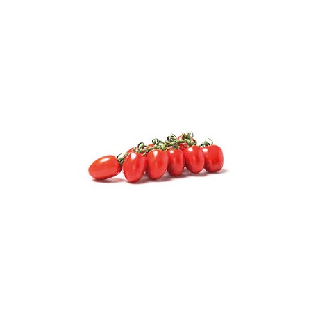 Pixel piccadilly cherry tomato seeds