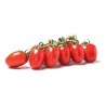 Semi di pomodoro tipo piccadilli Pixel