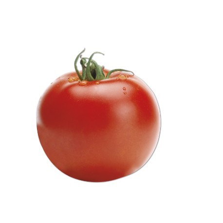 Round smooth tomato seeds