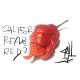 Carolina Reaper Red Seeds