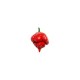 Trinidad Scorpion Butch T Seeds