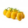 Semi di pomodoro datterino giallo Skate