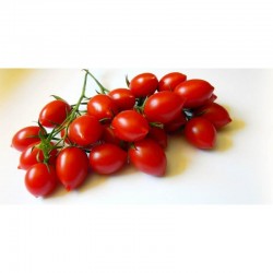 Red Cherry Type Tomato Ciliegino Sweet Sicilian Cherry Tomato Seeds 100 Seeds 