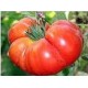 Marmande Degheio tomato seeds