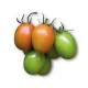 Cencara half elongated tomato seeds
