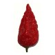 Naga Morich Seeds