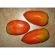 Nasone tomato seeds