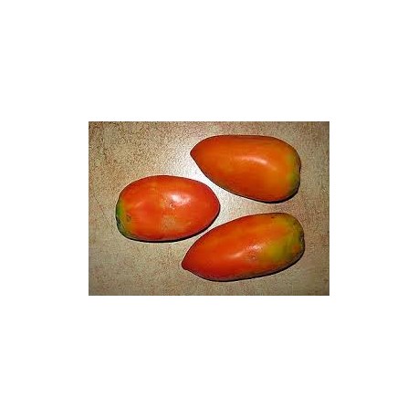 Nasone tomato seeds