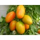 Nerina tomato seeds