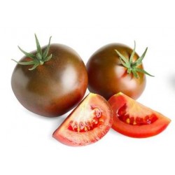 Kakao black tomato seeds