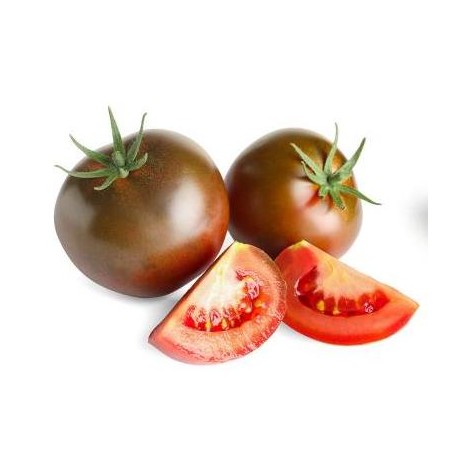 Kakao black tomato seeds