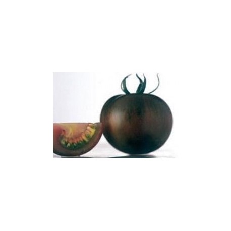 Zebrino black tomato seeds