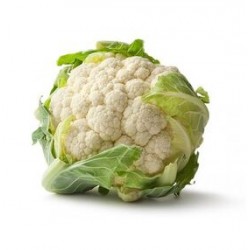 Pure-white cauliflower seeds