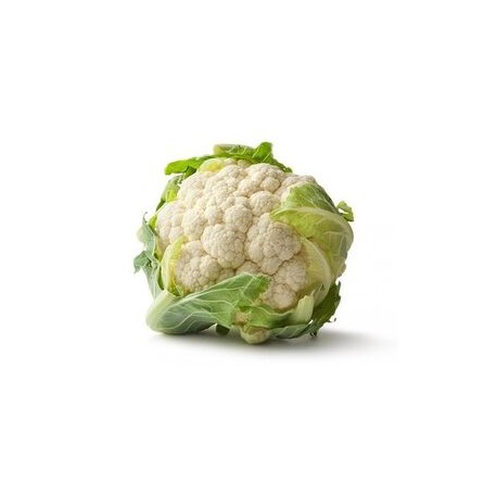 Pure-white cauliflower seeds