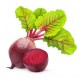 Beet Seeds