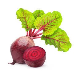 Beet Seeds