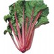 Red chard seeds