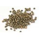 Pure-white cauliflower seeds