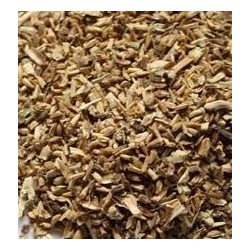 Ortolani Giant Escarole Seeds