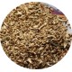 Late escarole Alaska seeds