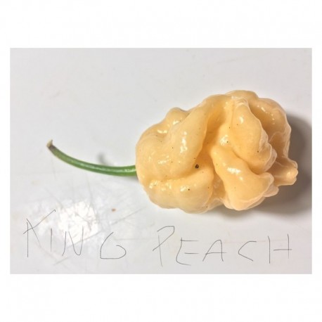 Semi di King Naga peach